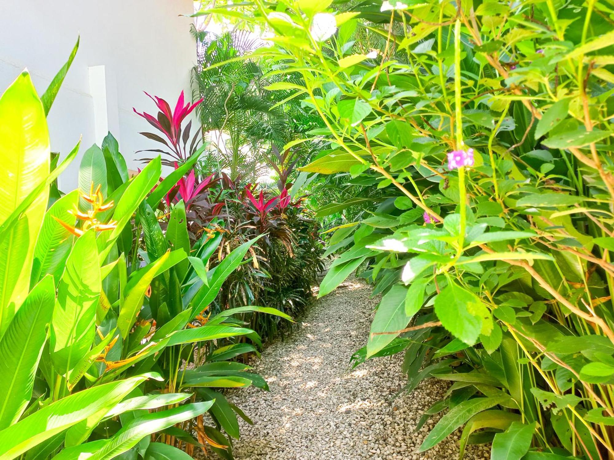 Calma Apartments Costa Rica Malpais Εξωτερικό φωτογραφία